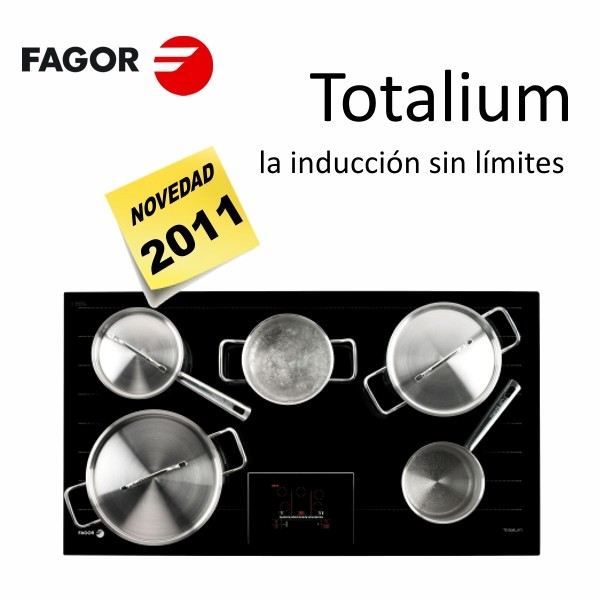 totalium if9000s fagor totalium if9000s fagor